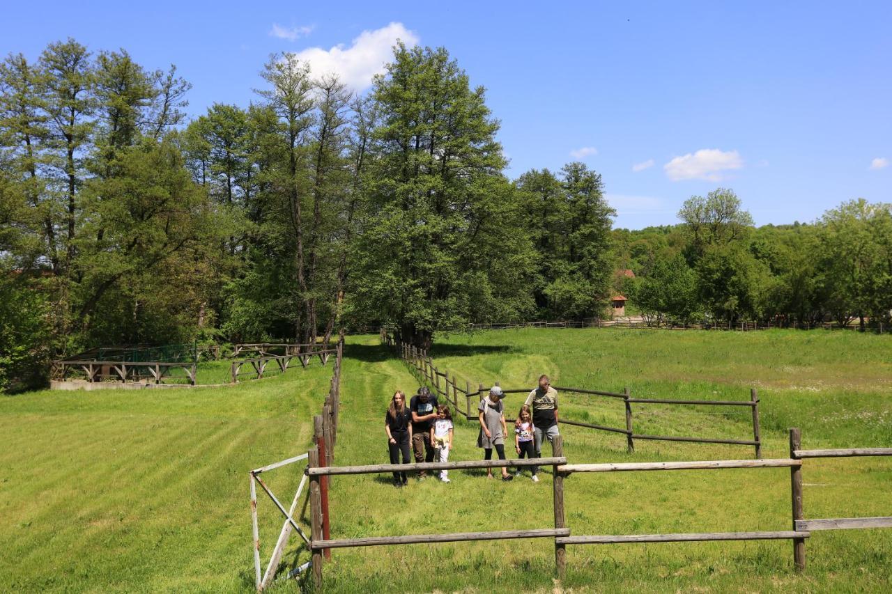 Villa Amigosranch Kruševac Exterior foto